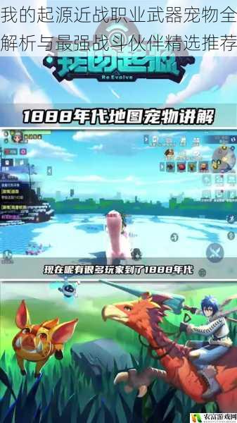 我的起源近战职业武器宠物全解析与最强战斗伙伴精选推荐