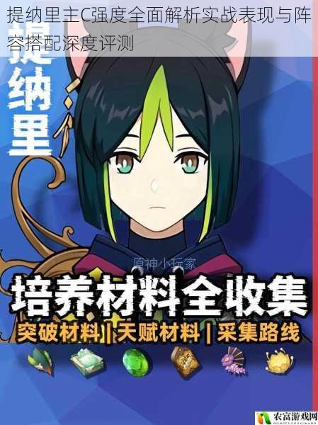 提纳里主C强度全面解析实战表现与阵容搭配深度评测