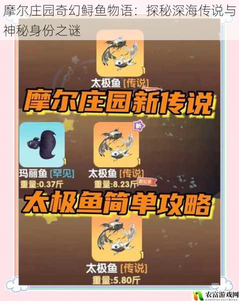 摩尔庄园奇幻鲟鱼物语:探秘深海传说与神秘身份之谜