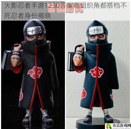 火影忍者手游1230答案晓组织角都搭档不死忍者身份揭晓