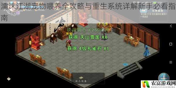 濡沫江湖宠物喂养全攻略与重生系统详解新手必看指南