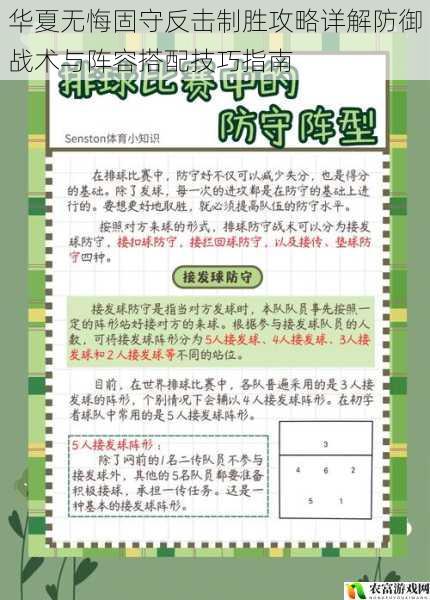 华夏无悔固守反击制胜攻略详解防御战术与阵容搭配技巧指南
