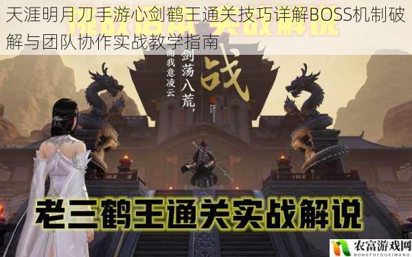 天涯明月刀手游心剑鹤王通关技巧详解BOSS机制破解与团队协作实战教学指南