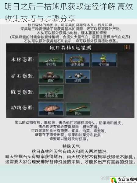 明日之后干枯熊爪获取途径详解 高效收集技巧与步骤分享