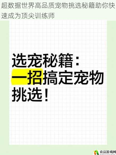 超数据世界高品质宠物挑选秘籍助你快速成为顶尖训练师