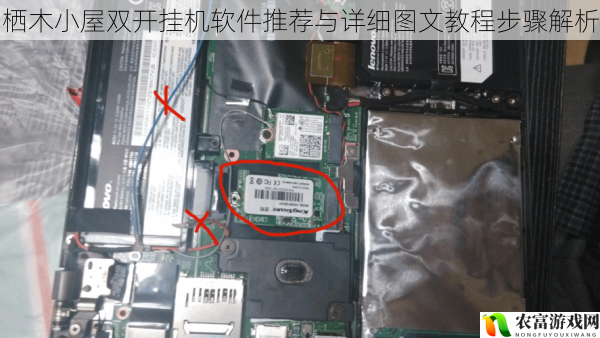 栖木小屋双开挂机软件推荐与详细图文教程步骤解析