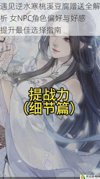 遇见逆水寒桃溪豆腐赠送全解析 女NPC角色偏好与好感提升最佳选择指南