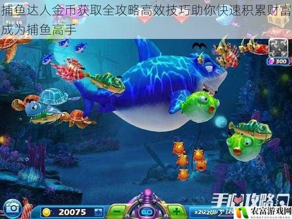 捕鱼达人金币获取全攻略高效技巧助你快速积累财富成为捕鱼高手