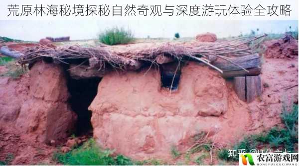 荒原林海秘境探秘自然奇观与深度游玩体验全攻略