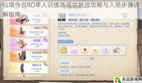 仙境传说RO单人训练场高效挑战攻略与入场步骤详解指南