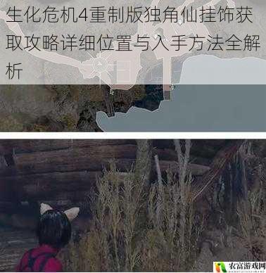 生化危机4重制版独角仙挂饰获取攻略详细位置与入手方法全解析