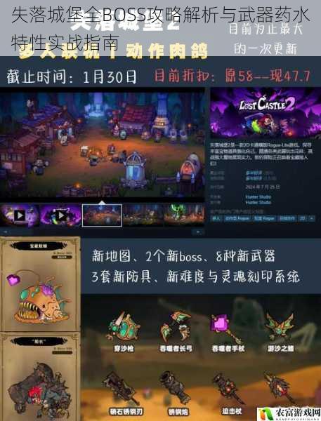 失落城堡全BOSS攻略解析与武器药水特性实战指南