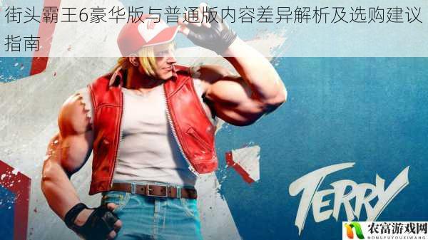 街头霸王6豪华版与普通版内容差异解析及选购建议指南