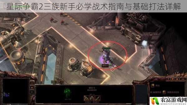 星际争霸2三族新手必学战术指南与基础打法详解