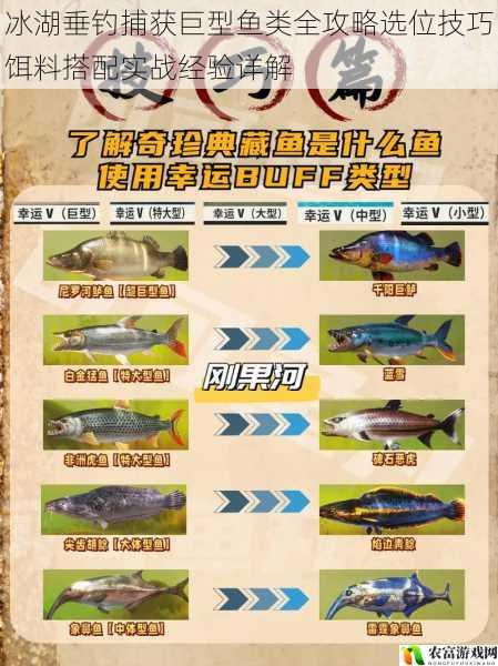 冰湖垂钓捕获巨型鱼类全攻略选位技巧饵料搭配实战经验详解