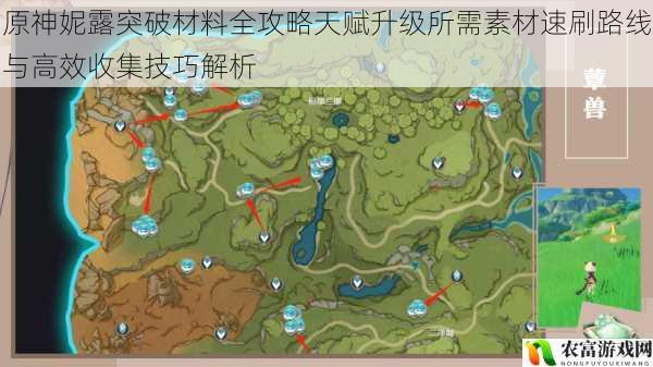 原神妮露突破材料全攻略天赋升级所需素材速刷路线与高效收集技巧解析