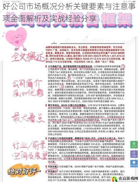 好公司市场概况分析关键要素与注意事项全面解析及实战经验分享