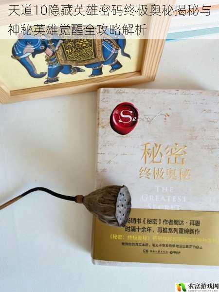天道10隐藏英雄密码终极奥秘揭秘与神秘英雄觉醒全攻略解析