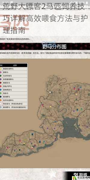荒野大镖客2马匹饲养技巧详解高效喂食方法与护理指南