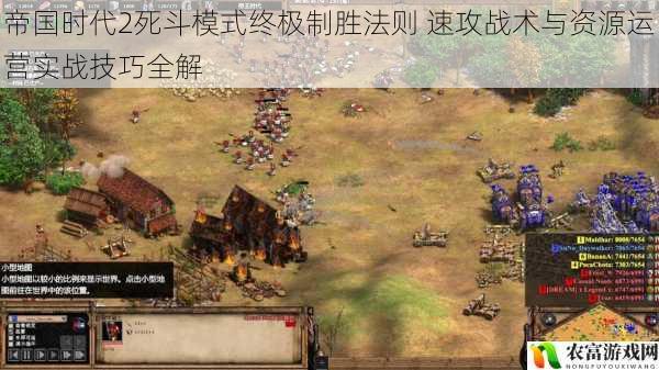 帝国时代2死斗模式终极制胜法则 速攻战术与资源运营实战技巧全解