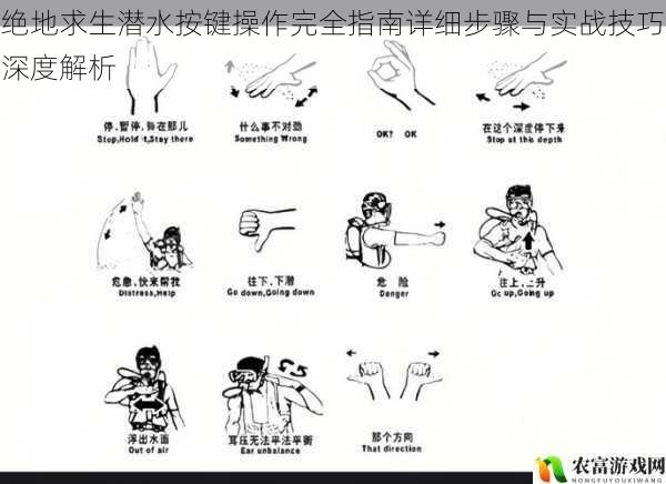 绝地求生潜水按键操作完全指南详细步骤与实战技巧深度解析