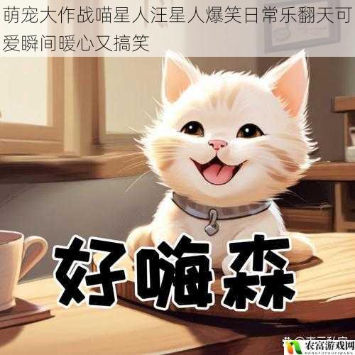萌宠大作战喵星人汪星人爆笑日常乐翻天可爱瞬间暖心又搞笑
