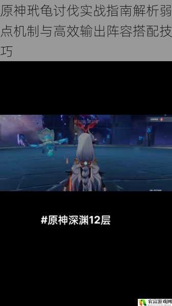 原神玳龟讨伐实战指南解析弱点机制与高效输出阵容搭配技巧