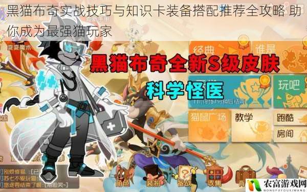 黑猫布奇实战技巧与知识卡装备搭配推荐全攻略 助你成为最强猫玩家