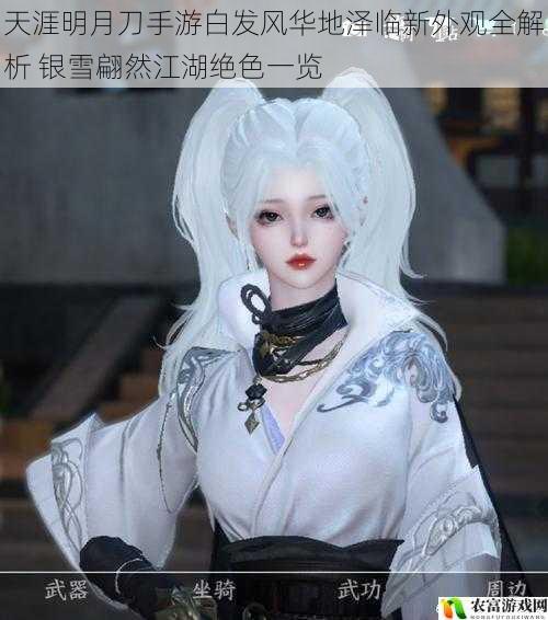 天涯明月刀手游白发风华地泽临新外观全解析 银雪翩然江湖绝色一览