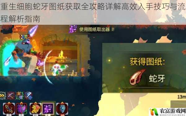 重生细胞蛇牙图纸获取全攻略详解高效入手技巧与流程解析指南