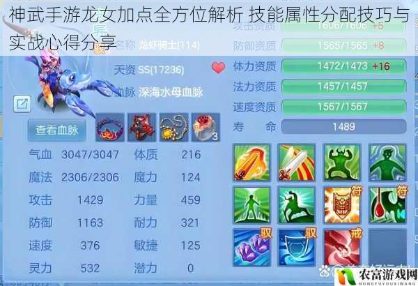 神武手游龙女加点全方位解析 技能属性分配技巧与实战心得分享