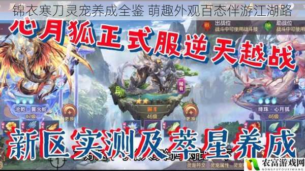 锦衣寒刀灵宠养成全鉴 萌趣外观百态伴游江湖路