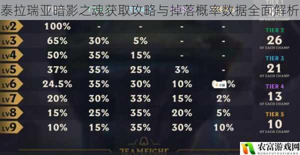 泰拉瑞亚暗影之魂获取攻略与掉落概率数据全面解析