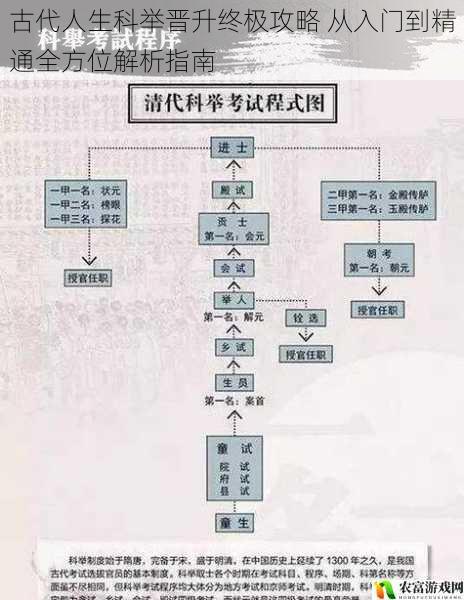 古代人生科举晋升终极攻略 从入门到精通全方位解析指南